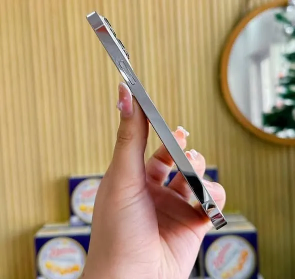 ايفون 13 برو ماكس سيلفر 2