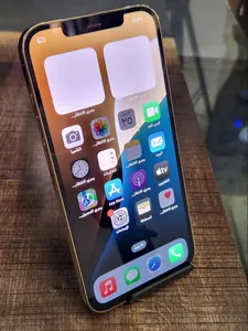 iPhone 12Pro Max  1