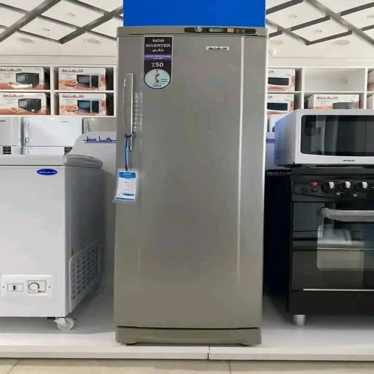 براد الحافظ 