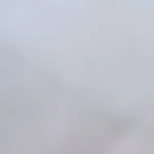 مطعم للايجار  1