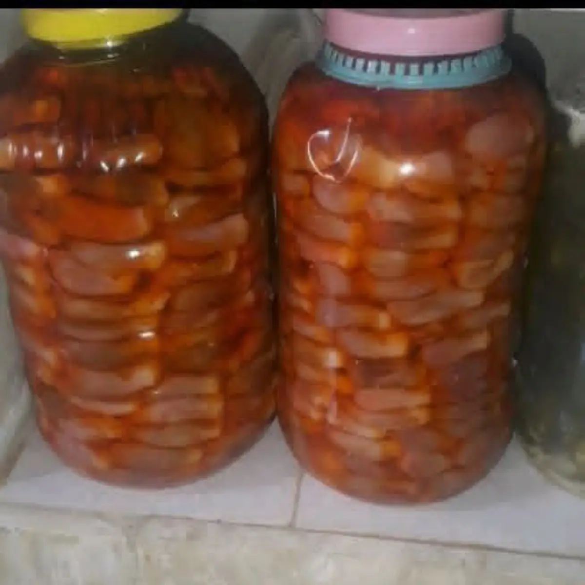 مونة البيت 2