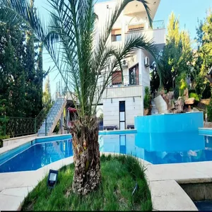 فيلا 4