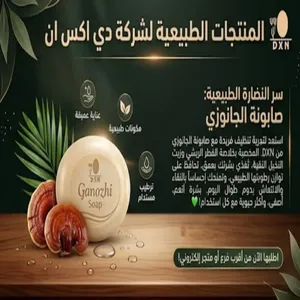 جانوزي  2